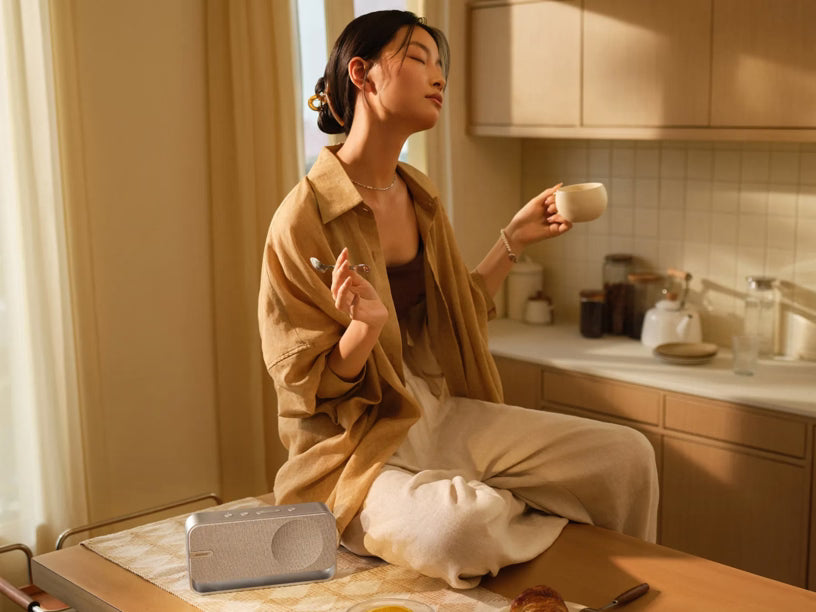 Bose SoundLink Home Bluetooth-Lautsprecher