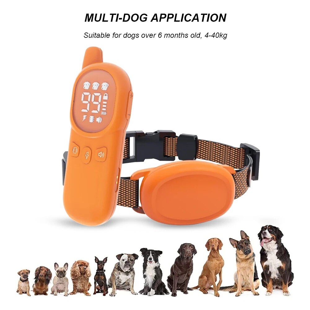 Rechargeable 800M Dog Training Collar with Sound, Vibration & Shock Features